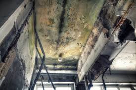 Best Residential Mold Inspection & Testing  in Wetherington, OH